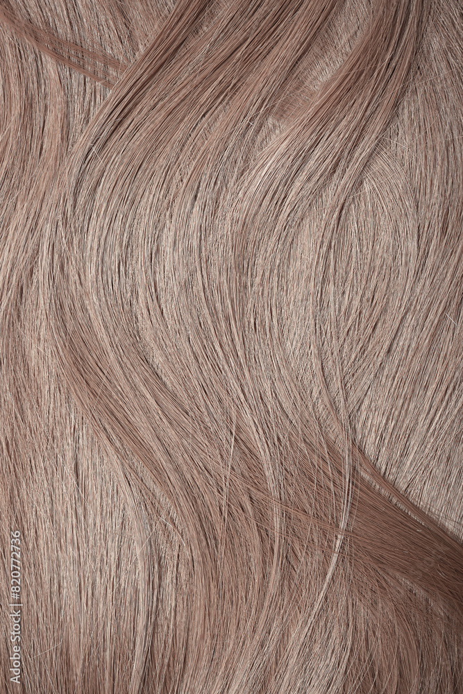 Fototapeta premium Blond hair close-up as a background. Women's long light brown hair. Beautifully styled wavy shiny curls. Hair coloring. Hairdressing procedures, extension.
