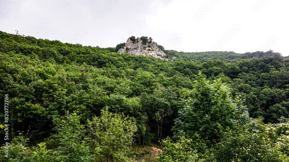 Mountain in a forest in northern Spain