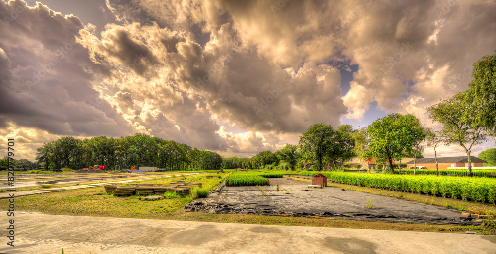 Big clouds floating over a rural landscape in The Netherlands. Big clouds floating over a rural landscape in The Netherlands.