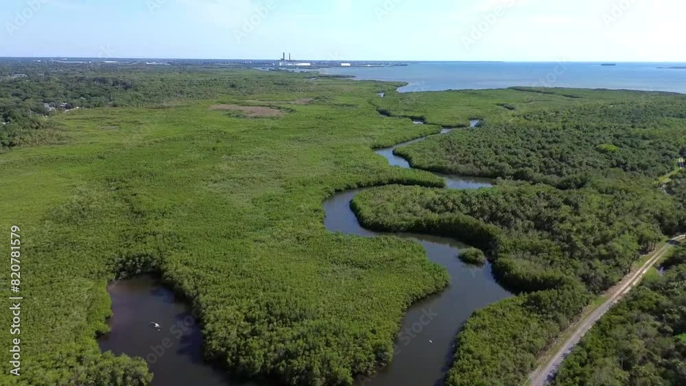 Drone view of a river flowing from the sea into a green field Drone view of a river flowing from the sea into a green field