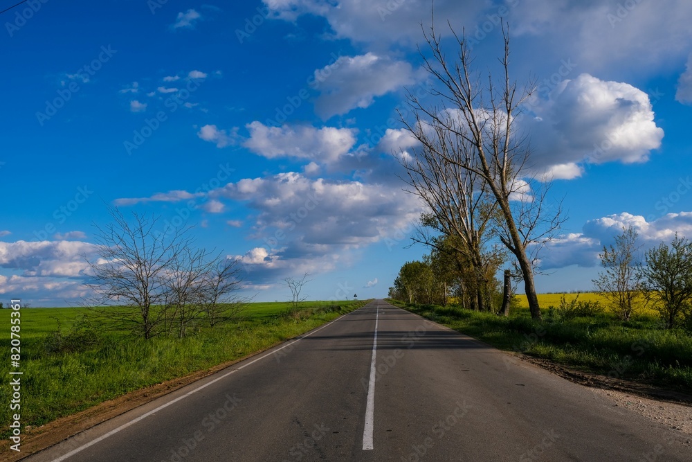 Beautiful view of a road surrounded by grassy fields and trees under a cloudy sky Beautiful view of a road surrounded by grassy fields and trees under a cloudy sky