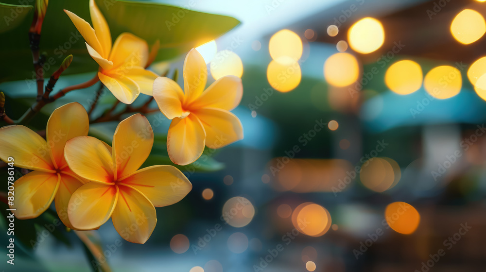 tropical flowers on the background of the beach, sea, vacation, blurred, space for text, frame of plants, nature, sea, ocean, south, travel, Bali, Caribbean islands, Philippines, natural landscape tropical flowers on the background of the beach, sea, vacation, blurred, space for text, frame of plants, nature, sea, ocean, south, travel, Bali, Caribbean islands, Philippines, natural landscape
