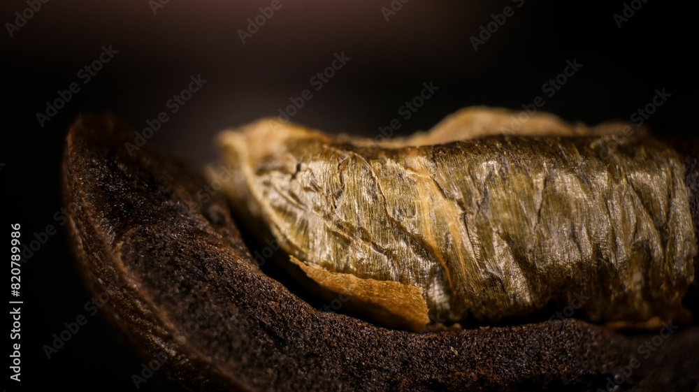Macrophotography of a coffee bean Macrophotography of a coffee bean
