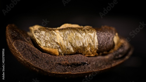 Macrophotography of a coffee bean photo
