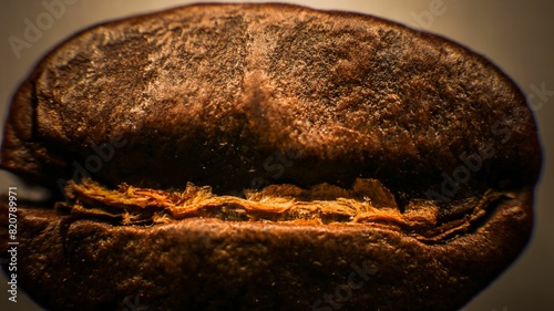 Macrophotography of a coffee bean photo