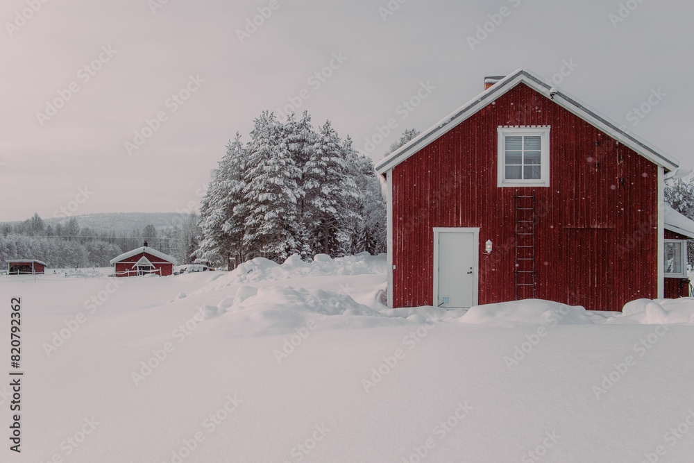 Beautiful winter scene featuring a rustic red shed covered in snow Beautiful winter scene featuring a rustic red shed covered in snow