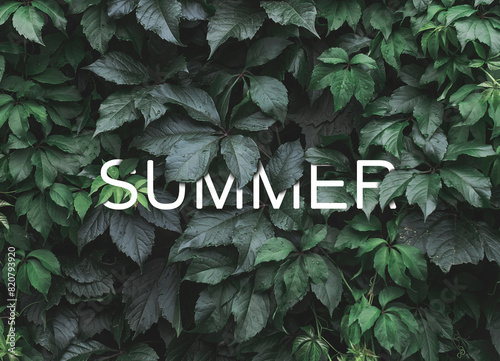 Word Summer hidden in natural green leaves wall
