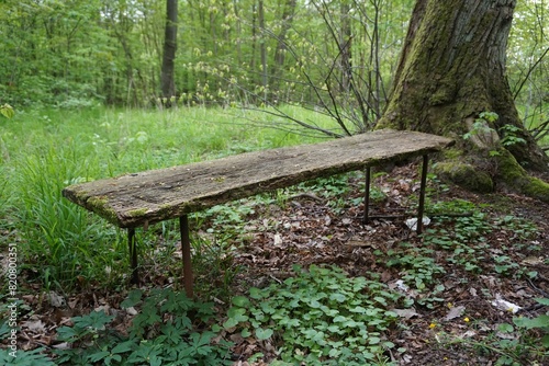 An old bench in forest