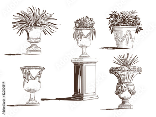 Vector set of classic antique park bowls, vases and flowerpots with plants and flowers on pedestal. Classic engraving hand drawn sketch. Can be used for wedding invitations, illustrations, books, etc.