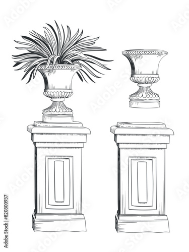 ПечатьVector set of classic antique park bowls, vases and flowerpots with plants and flowers on pedestal. Classic engraving hand drawn sketch. Can be used for wedding invitations, illustrations, books