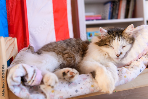 Selective focus photo. A cat sleeps on doll bed. photo