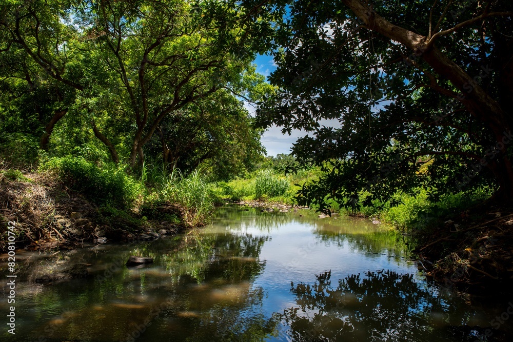 Scenic shot of a tranquil river surrounded by lush trees and foliage in Shenzhen Scenic shot of a tranquil river surrounded by lush trees and foliage in Shenzhen