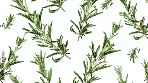 Fototapeta Naklejka Na Ścianę i Meble -  Herbal seamless pattern with rosemary sprigs on white background