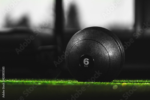 Closeup of a slam ball on green grass photo