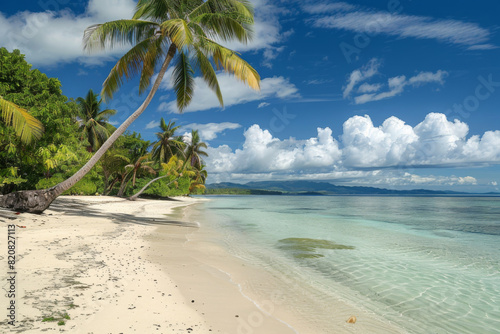 Pristine sandy beach with lush palm trees under a clear blue sky  showcasing tranquility in paradise