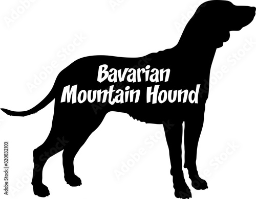 Bavarian Mountain Hound Dog silhouette dog breeds logo dog monogram vector