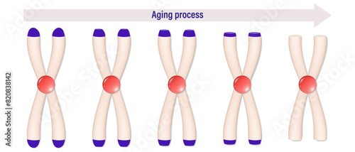 Aging process. Chromosomes shorten every time a cell divides. Telomeres become shortened.
