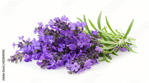 Bouquet of beautiful lavender flowers isolated on white