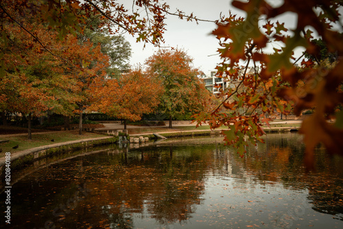 Tableau sur toile Autumn colours at Subiaco Common in Perth, Western Australia