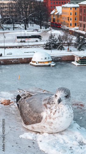 Photography Various photos taken in the winter season on the streets of Oslo, the capital of