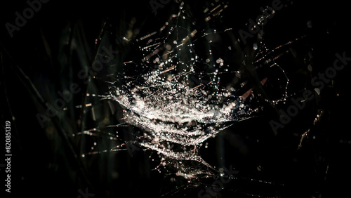 Spider webs and water spray in the morning sun