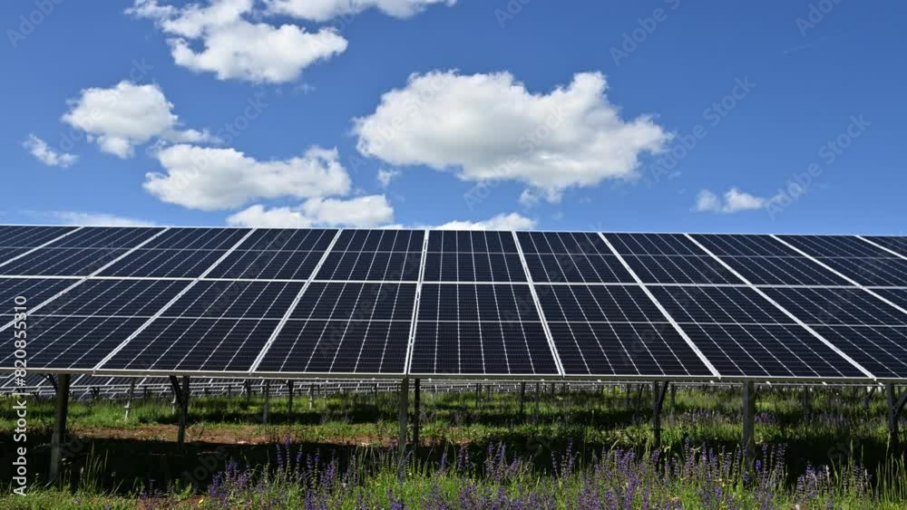 Solar Panels Power Plant Against Gren ecology-friendly renewable energy concept Solar Panels Power Plant Against Gren ecology-friendly renewable energy concept