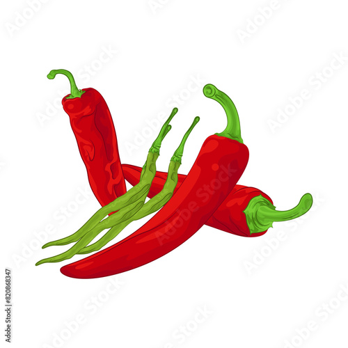 Illustration of red chili pepper 