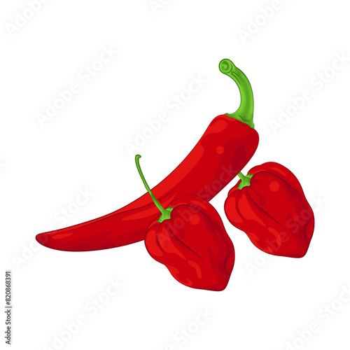 Illustration of red chili pepper 