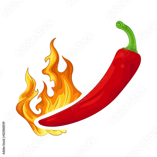 Illustration of red chili pepper 