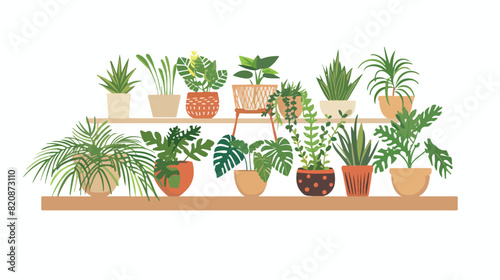 Home potted plants on wall shelf. Decorative indoor