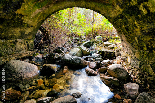 Puente en el arroyo