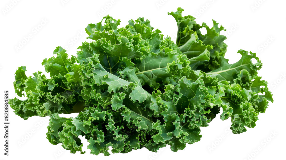 Obraz premium Crisp Green Lettuce Dances on Pure White Canvas