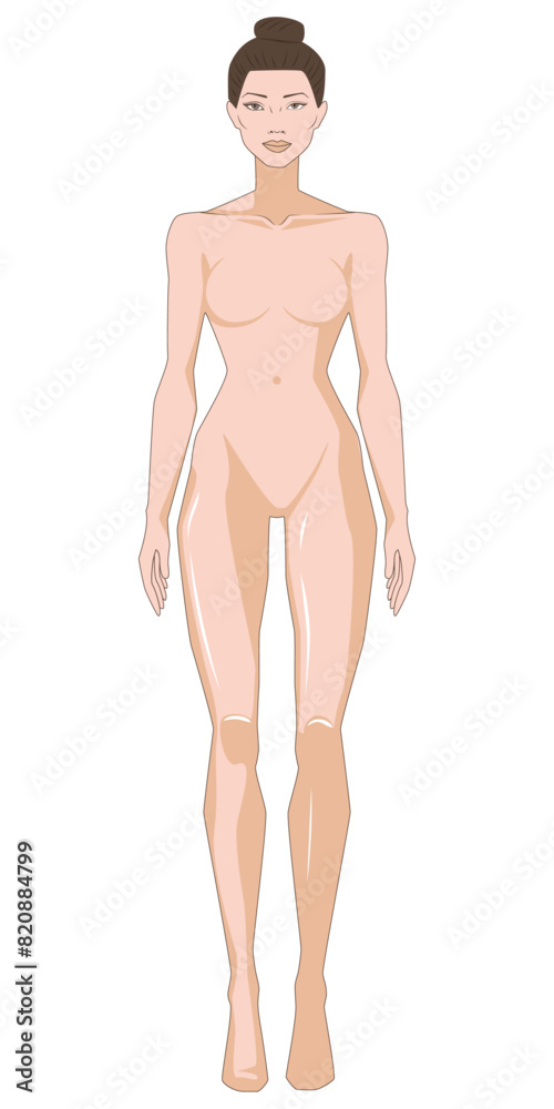 Fototapeta premium Human body silhouette. Woman. Mannequin. Vector. Isolated. Transparent background