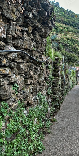 old gray stone wall with plants
