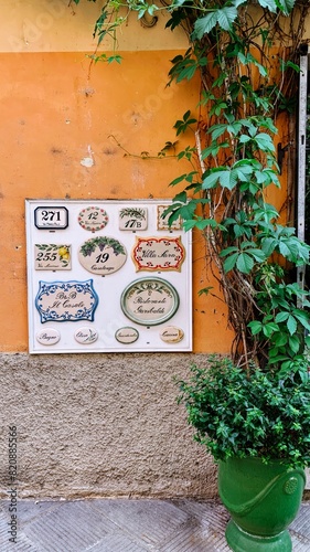 old orange wall with venetian masks and plants on the street in italy