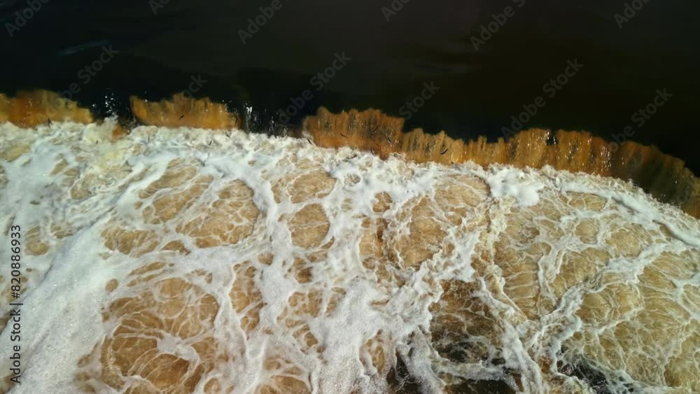 Defying Odds: Salmon Conquer Mighty Venta Falls Defying Odds: Salmon Conquer Mighty Venta Falls