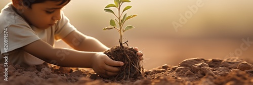 A child boy plants a young plant in the soil in the desert background. Earth day, forest day, environmental day concept photo