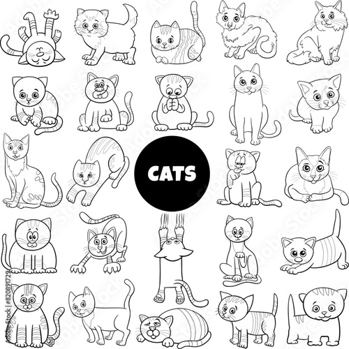 cartoon cats and kittens animal characters big set