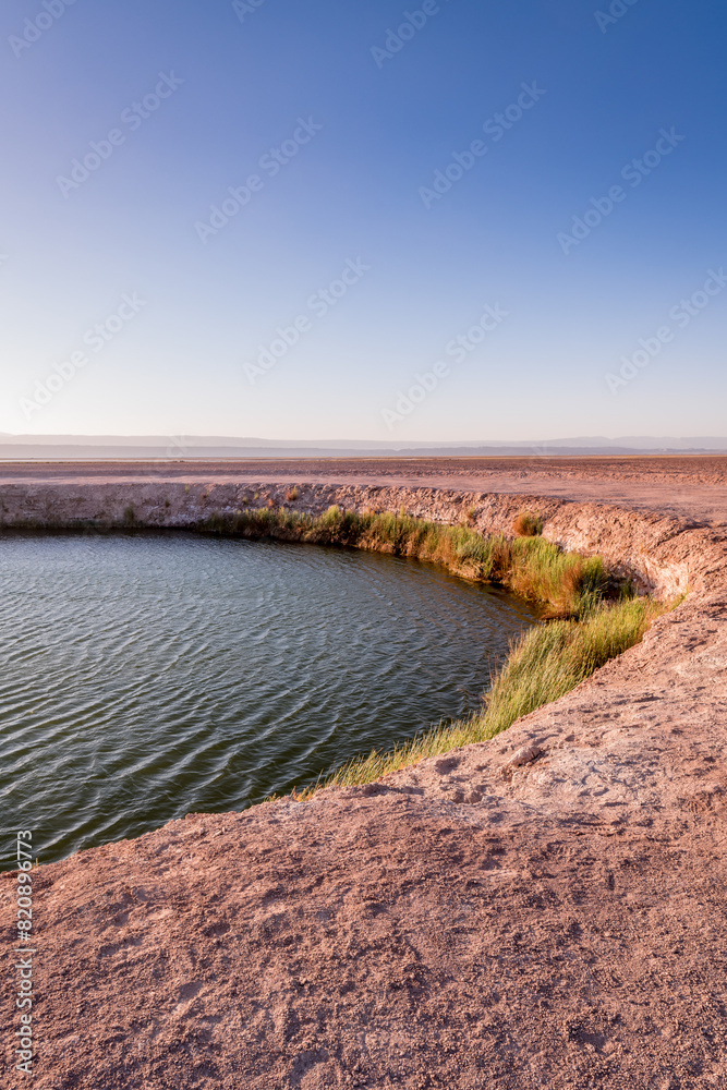 desert landscape of the Atacama salt flat, Chile desert landscape of the Atacama salt flat, Chile
