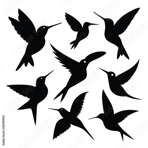 Set of Anna’s Hummingbird black Silhouette Vector on a white background