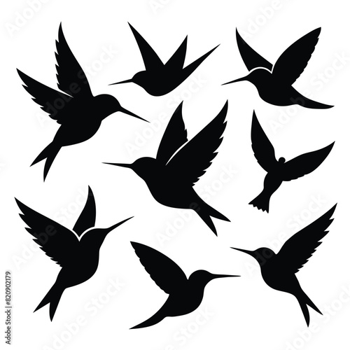 Set of Anna   s Hummingbird black Silhouette Vector on a white background