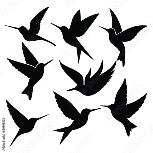 Set of Anna’s Hummingbird black Silhouette Vector on a white background photo