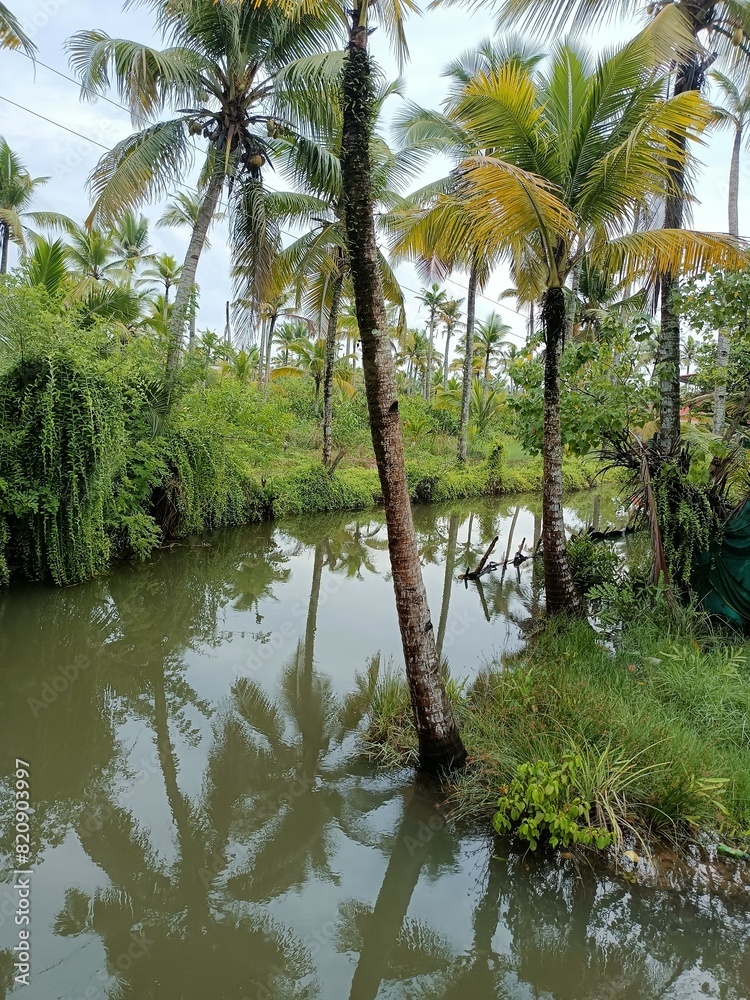 Views of the beautiful landscape of Kerala, India Views of the beautiful landscape of Kerala, India