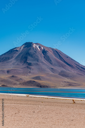 desert landscape of the highlands of Chile © David