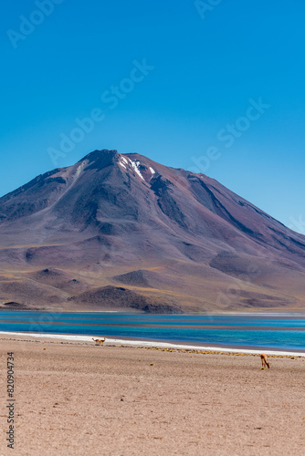 desert landscape of the highlands of Chile