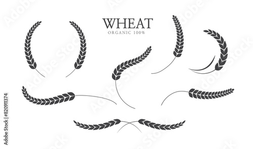 Rice panicles. Agriculture wheat. Laurel wreath icon. Wheats rye rice ears. rice stalk. Vector illustration