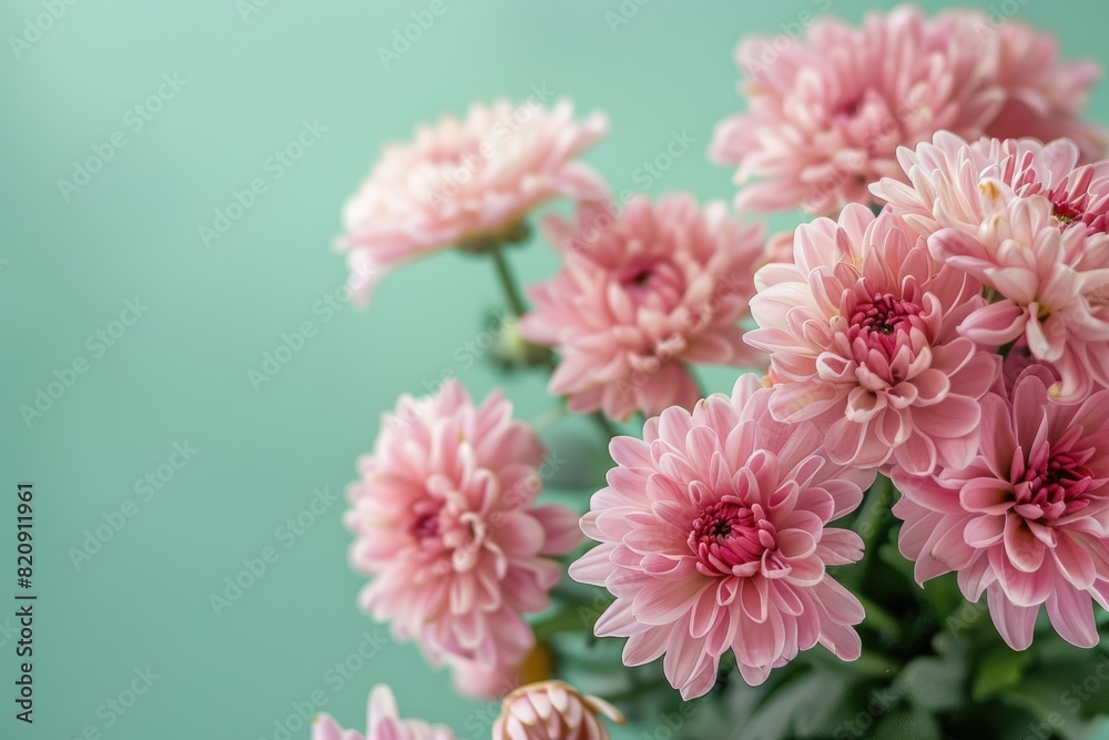 Light green background with beautiful flowers, spring. Light green background with beautiful flowers, spring.