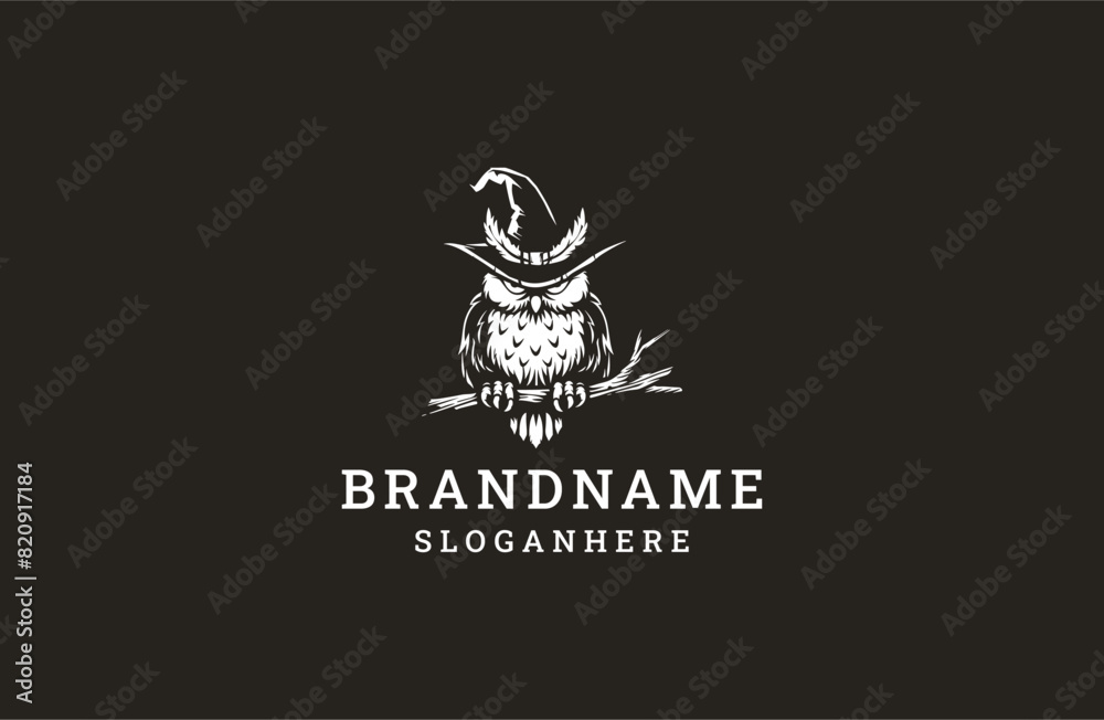 Wizard owl logo template vector illustration design Wizard owl logo template vector illustration design