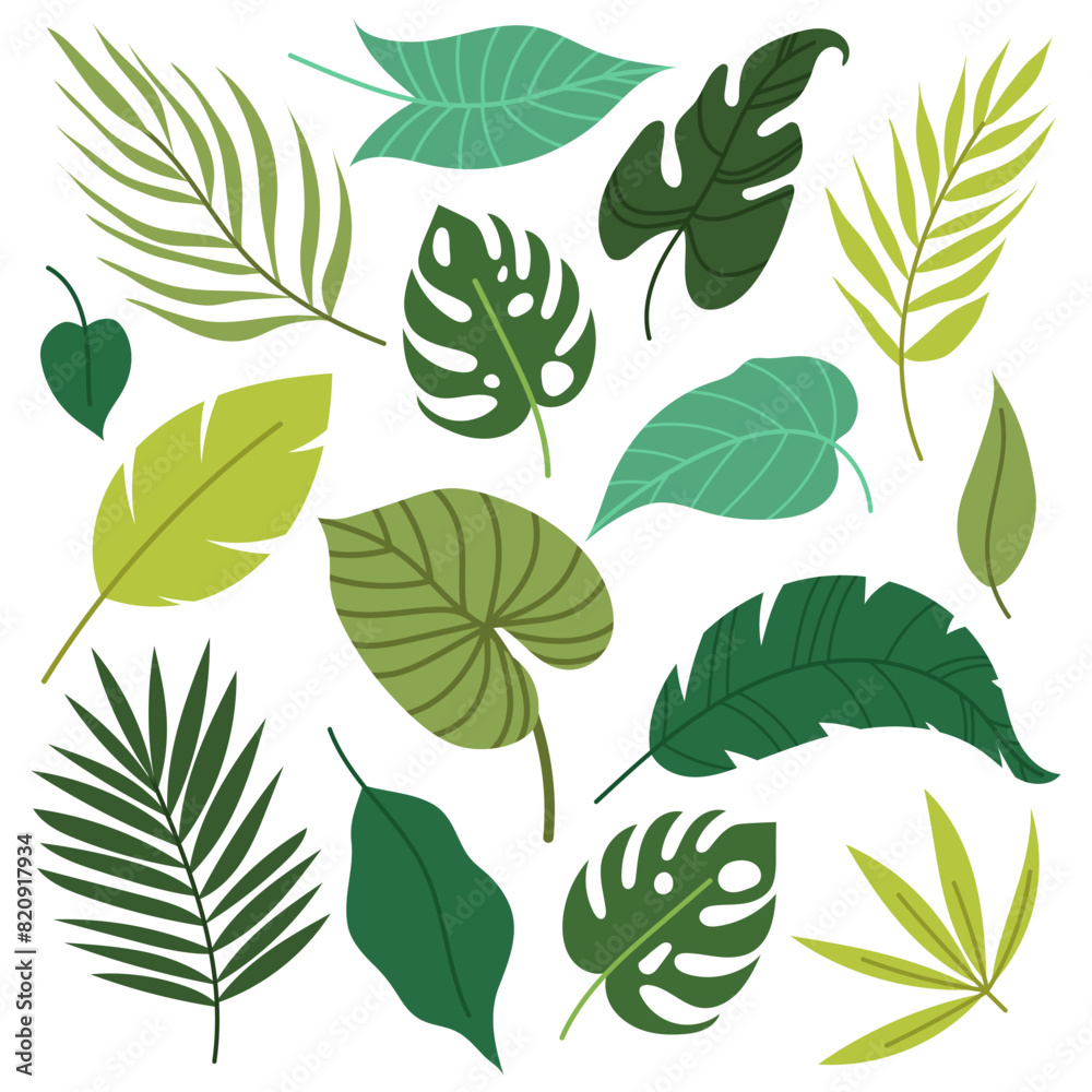 Set of tropical leaves and twigs in flat style. Summer botany. Leaves of palm, monstera and other tropical plants.