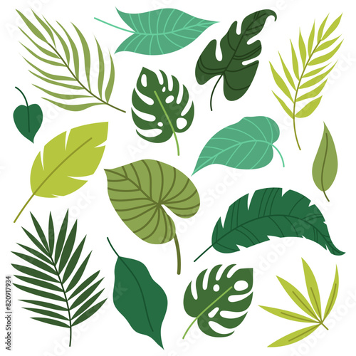 Set of tropical leaves and twigs in flat style. Summer botany. Leaves of palm  monstera and other tropical plants.
